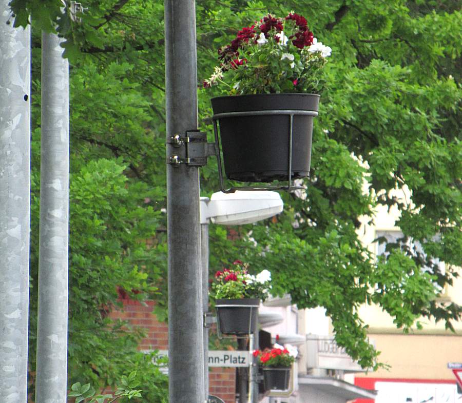 strassen-blumen